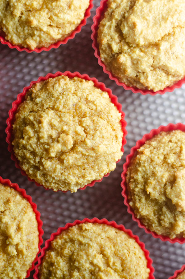 These cornbread muffins are actually corn-free because they are paleo, but they are flavorful and sweet, just like the real deal! Gluten-free, low-carb, dairy-free. 