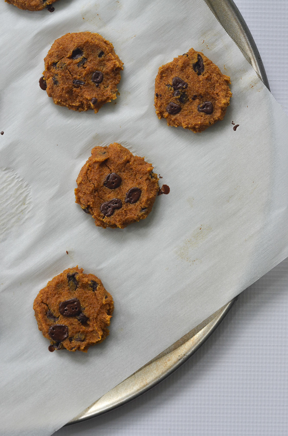 These pumpkin chocolate chip cookies are a healthy fall treat! Sweet and spicy, the entire family will enjoy them. Paleo, ketogenic, refined sugar free, low-carb, gluten-free, grain-free, nut-free.