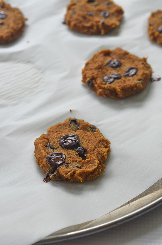 These pumpkin chocolate chip cookies are a healthy fall treat! Sweet and spicy, the entire family will enjoy them. Paleo, ketogenic, refined sugar free, low-carb, gluten-free, grain-free, nut-free.