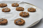 These pumpkin chocolate chip cookies are a healthy fall treat! Sweet and spicy, the entire family will enjoy them. Paleo, ketogenic, refined sugar free, low-carb, gluten-free, grain-free, nut-free.