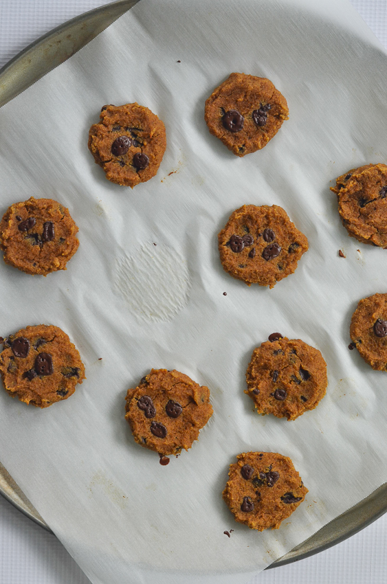 These pumpkin chocolate chip cookies are a healthy fall treat! Sweet and spicy, the entire family will enjoy them. Paleo, ketogenic, refined sugar free, low-carb, gluten-free, grain-free, nut-free.