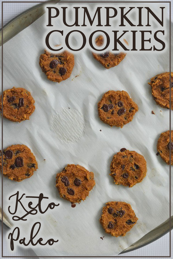 These pumpkin chocolate chip cookies are a healthy fall treat! Sweet and spicy, the entire family will enjoy them. Paleo, ketogenic, refined sugar free, low-carb, gluten-free, grain-free, nut-free.