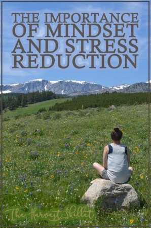 Did you know that stress can have a significant negative impact on your health and wellbeing? It can even prevent you from losing weight! It's time to learn about the importance of mindset and stress reduction!