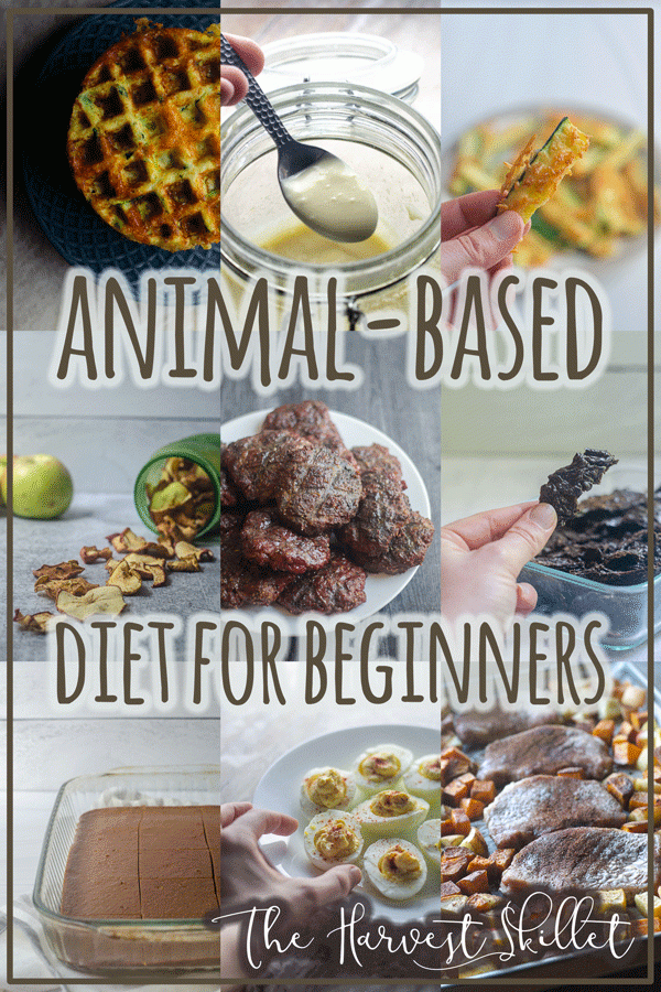 Interested in learning about how an animal-based diet could benefit you? Here is a guide to get you started on the right foot!