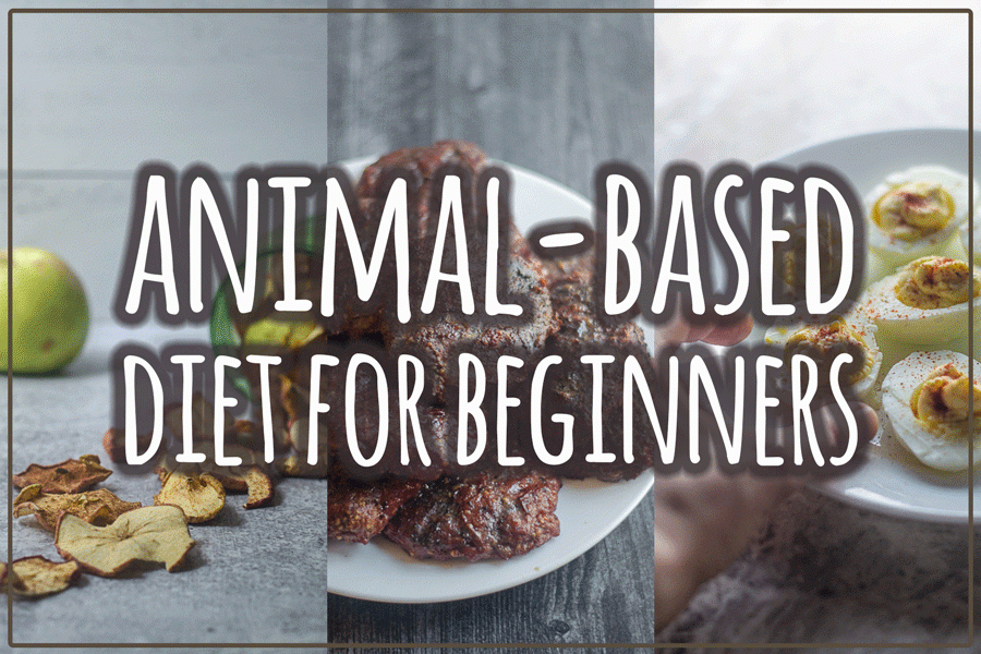 Interested in learning about how an animal-based diet could benefit you? Here is a guide to get you started on the right foot!