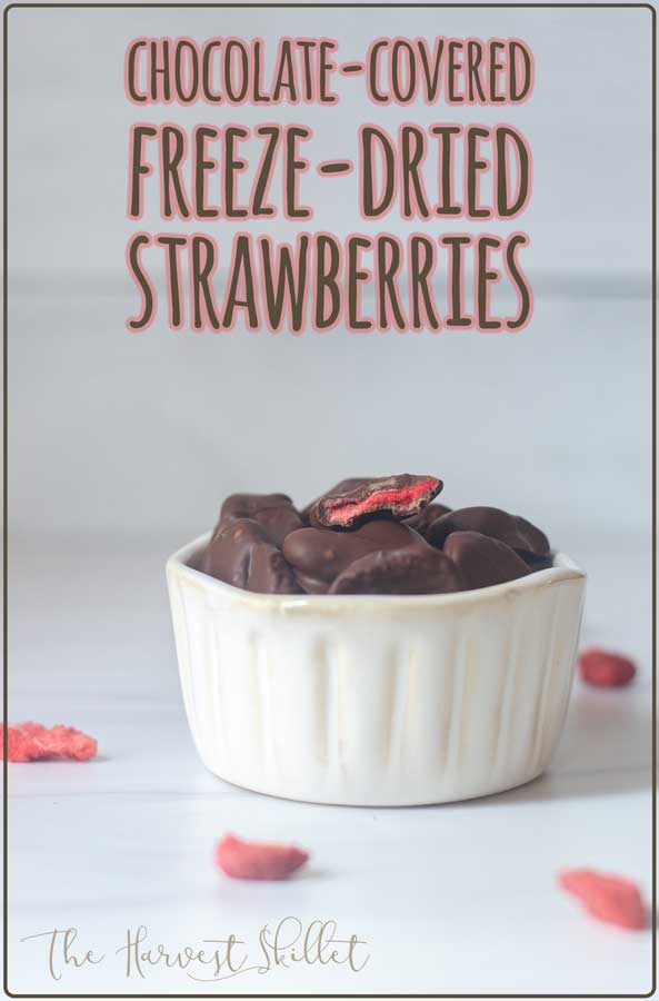 Looking for a unique sweet treat that is super-simple to make and quite delicious? These chocolate-covered freeze-dried strawberries are a delicious treat! You don't need a freeze dryer to make these tasty snacks!