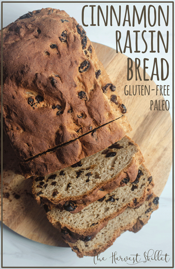 cinnamon raisin bread paleo gluten-free dairy-free