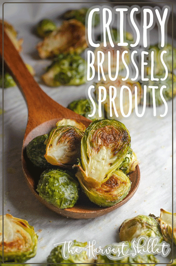 Are you in the camp of Brussels sprouts lover? You will definitely love these crispy Brussels sprouts! Keto, vegan, low-carb, Whole30. 