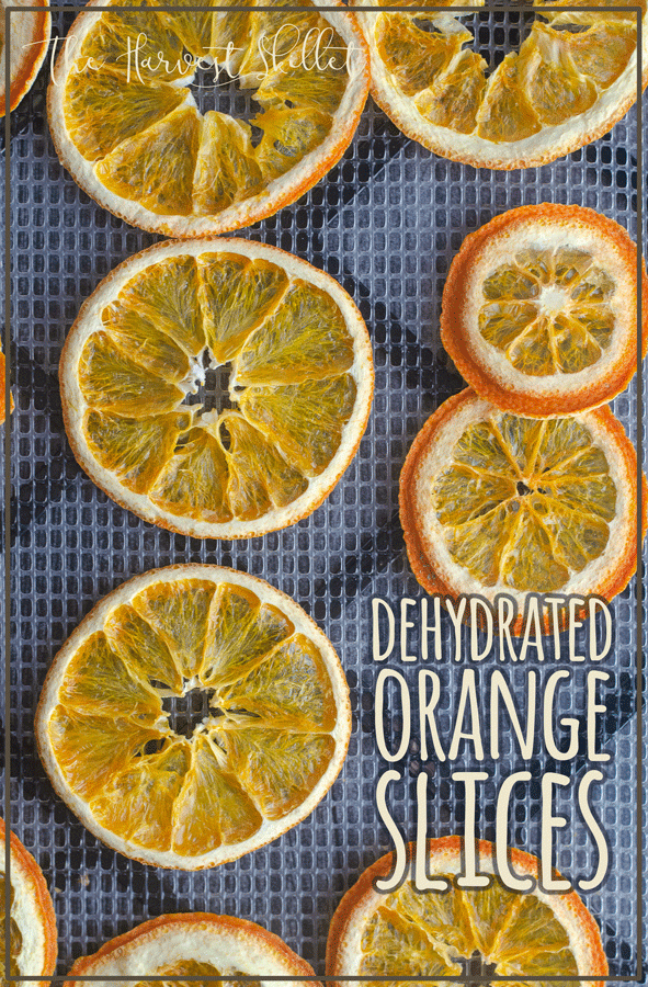 A simple, traditional holiday decoration or mulling spice recipe, these dehydrated orange slices are fun for the whole family!