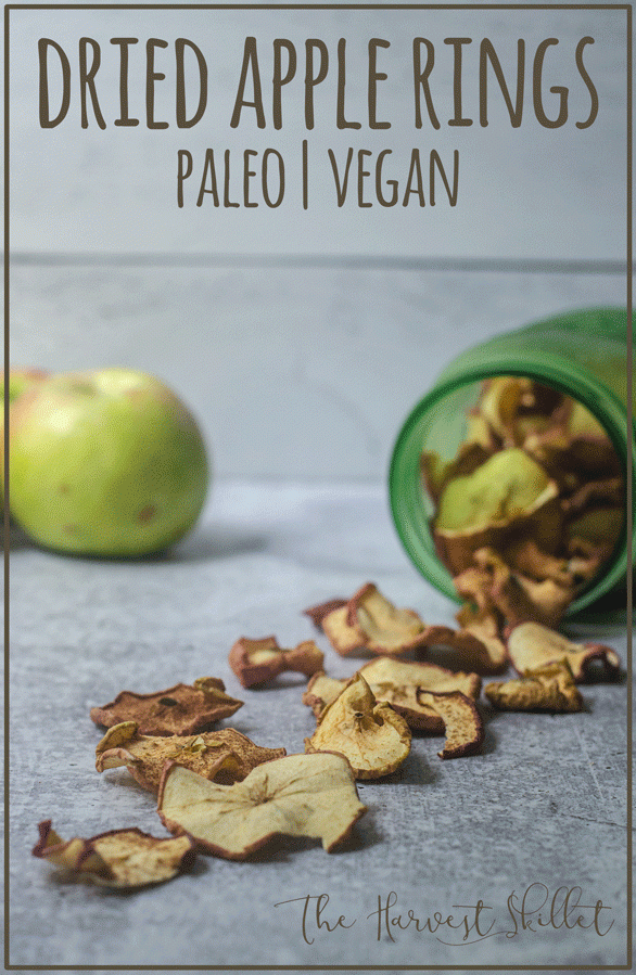 If you have an abundance of apples, these dried apple slices are a great way to preserve them! Paleo, Whole30, Vegan.