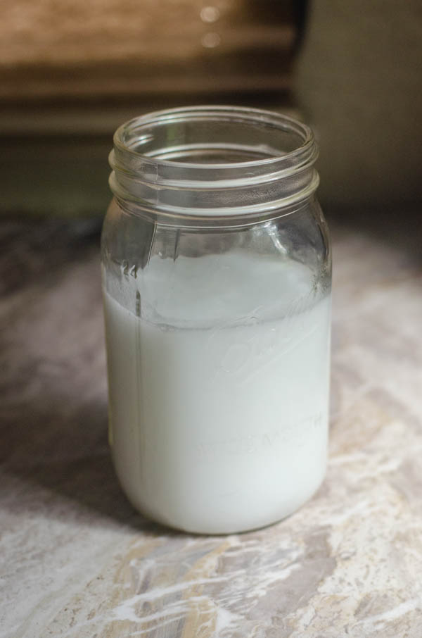 A delicious two-ingredient homemade coconut milk recipe, without any synthetic vitamins or additives! Keto, paleo, Whole30, vegan.