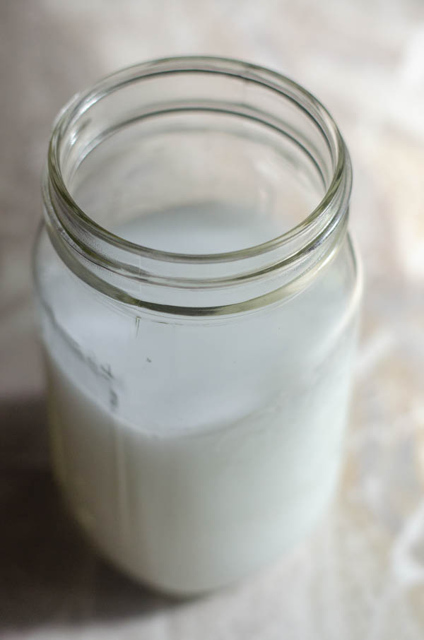 A delicious two-ingredient homemade coconut milk recipe, without any synthetic vitamins or additives! Keto, paleo, Whole30, vegan.