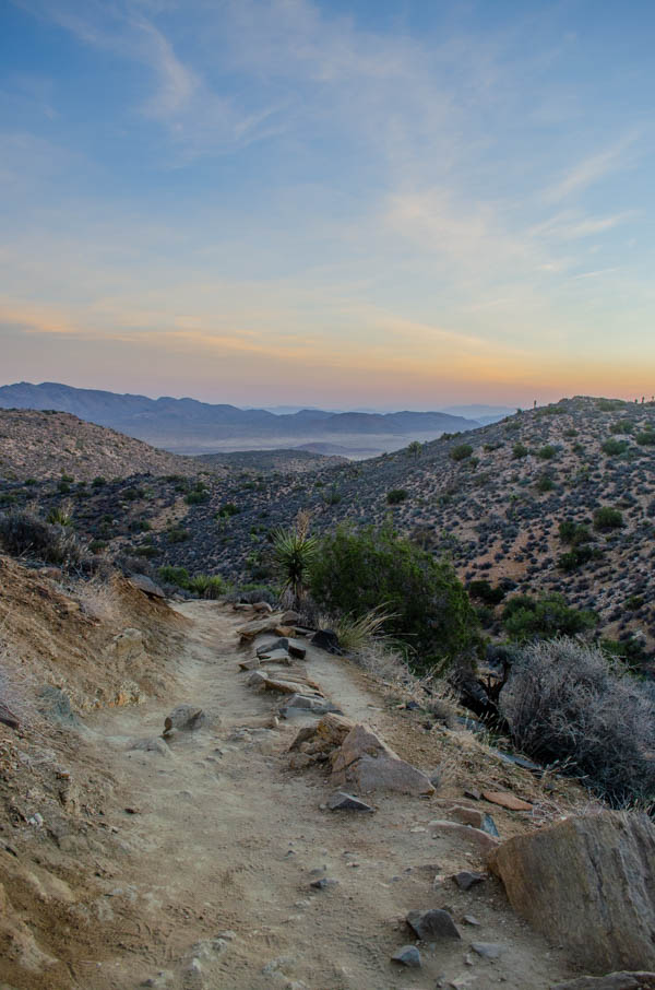 joshua tree national park