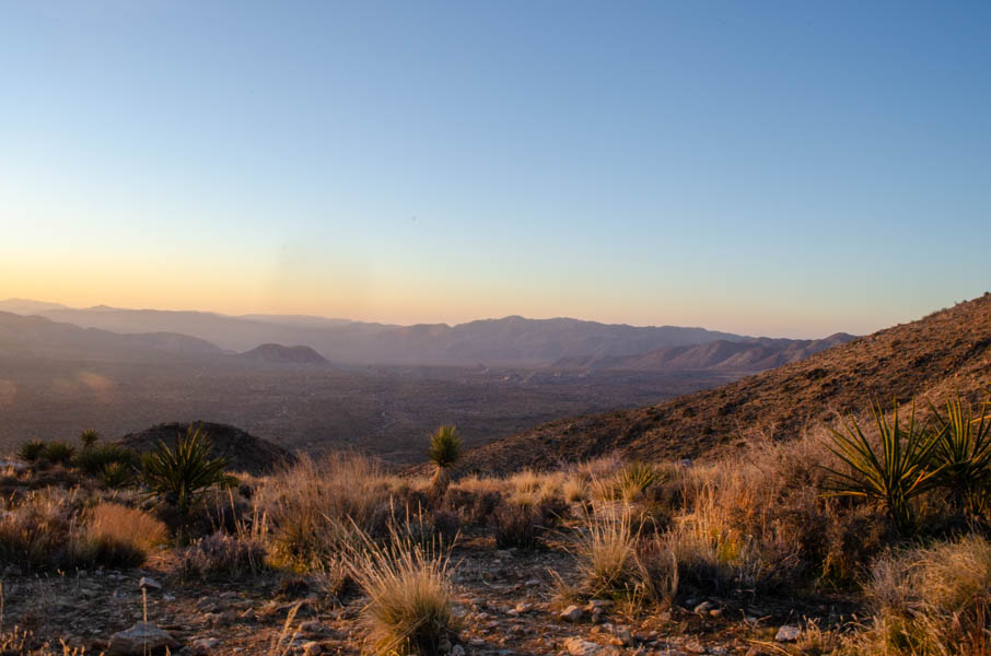 joshua tree national park