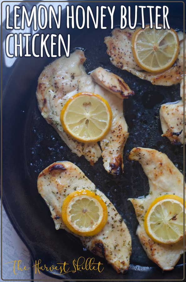 Looking for a delicious weeknight dinner? This lemon honey butter chicken is tasty and uber simple to make! Paleo, animal-based, gluten-free. 