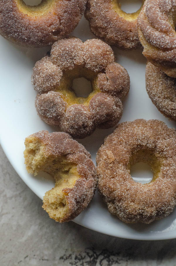 In need of a sweet, sugary treat? These low-carb cinnamon sugar donuts are the perfect breakfast. Prep ahead and enjoy all week long on busy mornings! Keto, low-carb, Paleo, gluten-free.