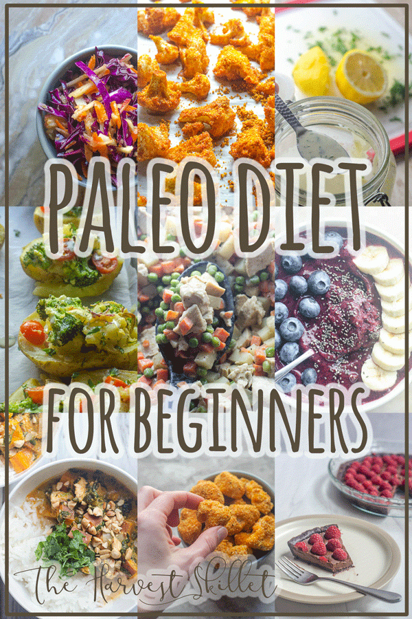 Paleo diet for beginners