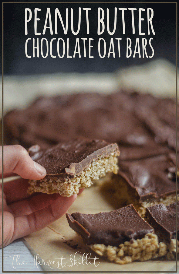 peanut butter chocolate oat bars