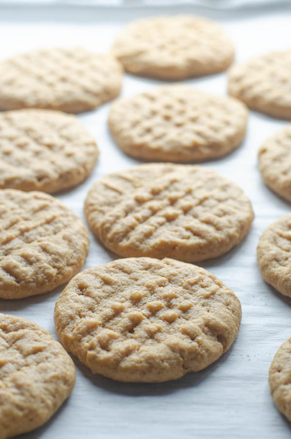 These simple chewy peanut butter cookies are incredibly delicious! They only require one bowl to make, and are sure to please the entire family. Sugar-free, low-carb, keto, gluten-free, dairy-free.