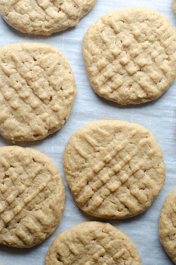 These simple chewy peanut butter cookies are incredibly delicious! They only require one bowl to make, and are sure to please the entire family. Sugar-free, low-carb, keto, gluten-free, dairy-free.