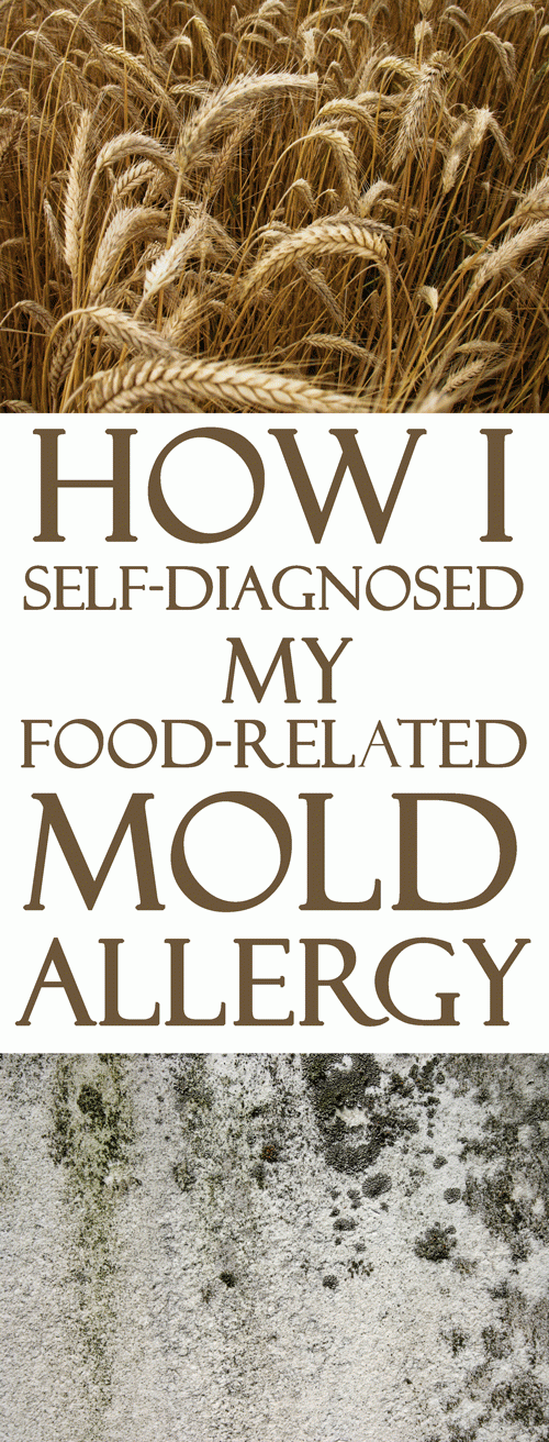 Food related mold allergy self-diagnosis