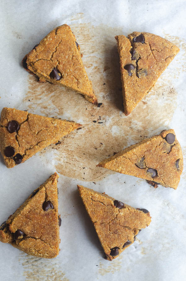 Pumpkin chocolate chip scones are a tasty breakfast or dessert for autumn. Great for making ahead and grabbing on-the-go! Paleo, low-carb.