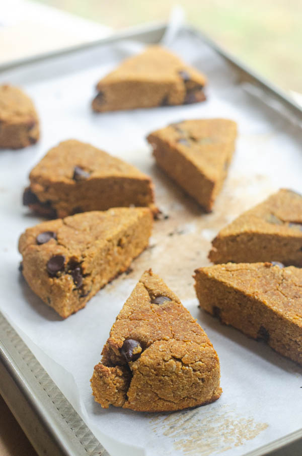 Pumpkin chocolate chip scones are a tasty breakfast or dessert for autumn. Great for making ahead and grabbing on-the-go! Paleo, low-carb.