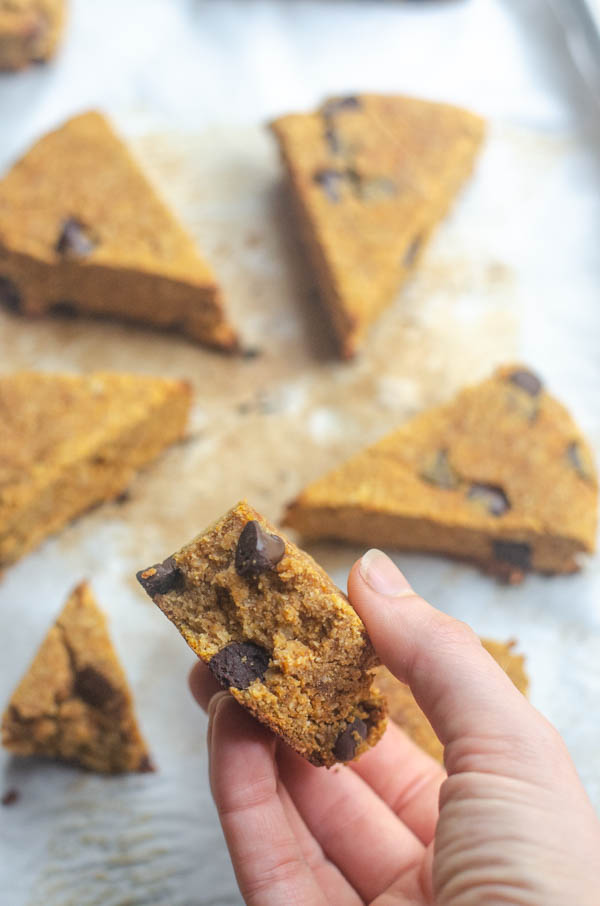 Pumpkin chocolate chip scones are a tasty breakfast or dessert for autumn. Great for making ahead and grabbing on-the-go! Paleo, low-carb.