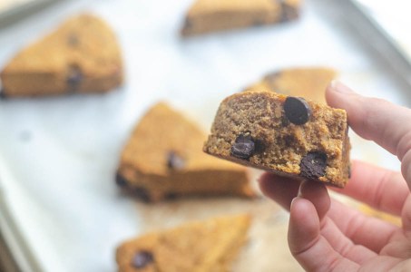 Pumpkin chocolate chip scones are a tasty breakfast or dessert for autumn. Great for making ahead and grabbing on-the-go! Paleo, low-carb.